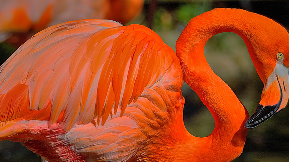 Riverbanks Zoo, Columbia, SC