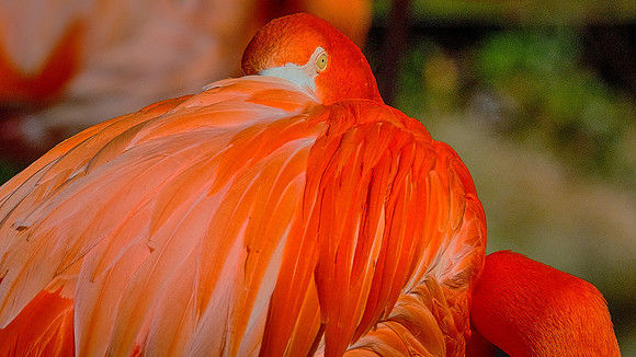 Riverbanks Zoo, Columbia, SC