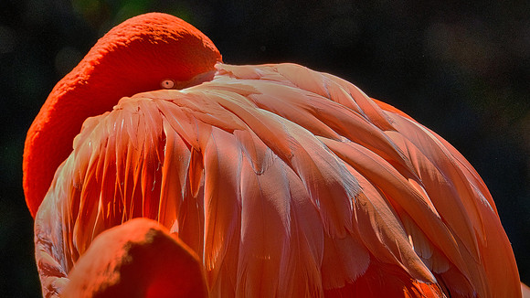 Riverbanks Zoo, Columbia, SC