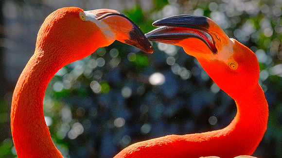 Riverbanks Zoo, Columbia, SC