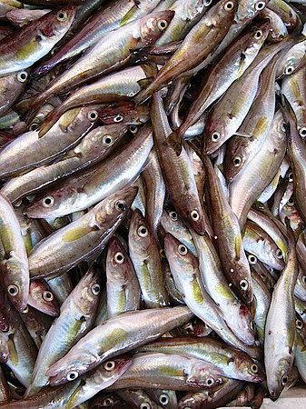 Trabzon market
