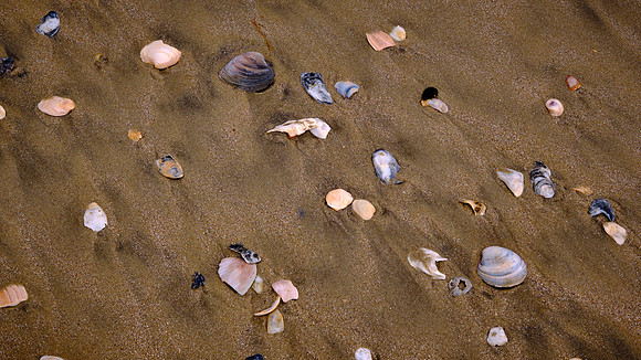 Botany Bay, Edisto Island, SC
