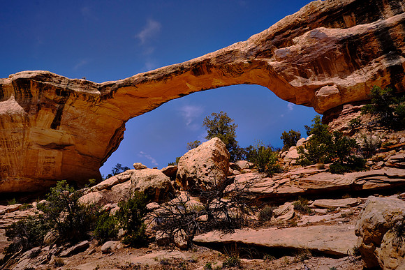 Natural Bridges, UT. Bridge collapse is possible, especially along the span of Owachomo Bridge in Armstrong Canyon which is only 9 feet thick at the crest of its span.