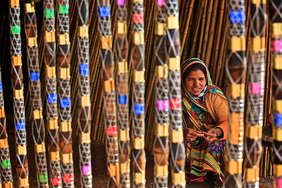 Nagaur Camel and Livestock Fair, Nagaur, Rajasthan
