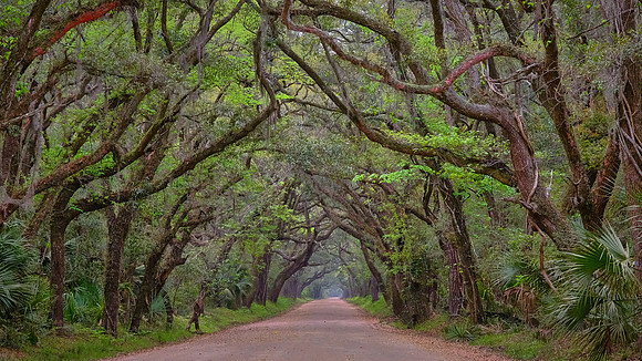 Botany Bay, Edisto Island, SC