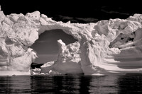 2024 Aug - Denizens of West Greenland