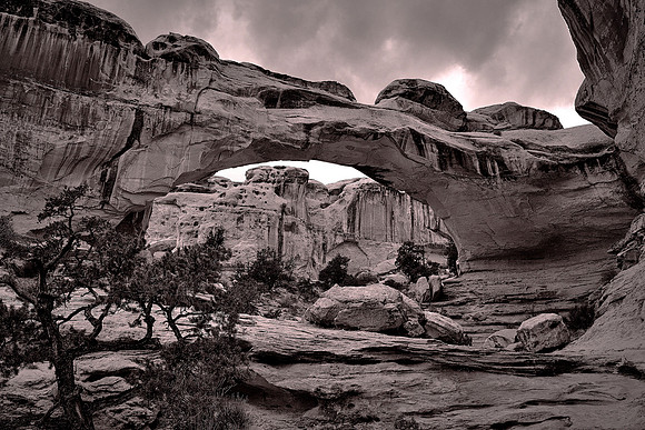 Capitol Reef National Park, UT.  Hickman Bridge.