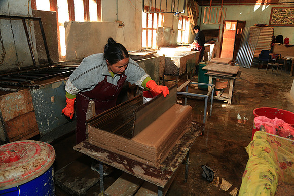 Paper making from tree bark