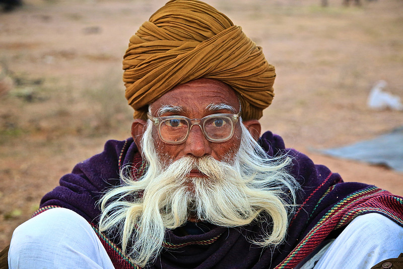 Nagaur Camel and Livestock Fair, Nagaur, Rajasthan