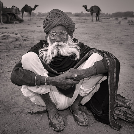 Nagaur Camel Fair, Rajasthan, India