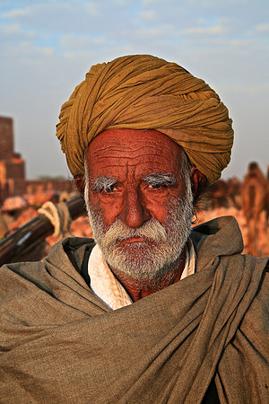 Nagaur Camel and Livestock Fair, Nagaur, Rajasthan