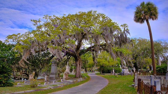 Magnolia Cemetery, Charleston, SC