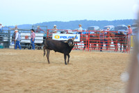 2008 July - Let's Rodeo!, Galena, IL