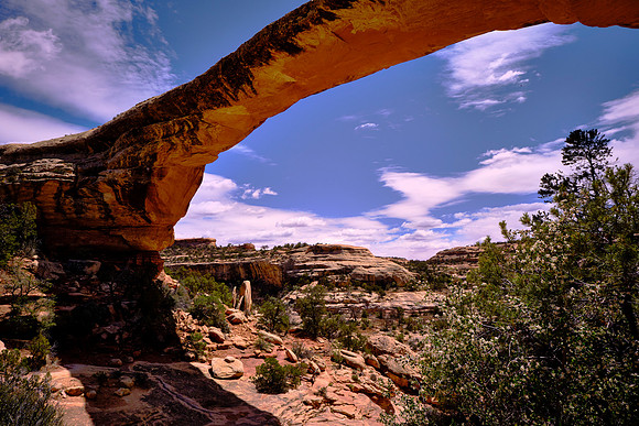 Natural Bridges, UT.   The monument  features some of the largest natural bridges in the world, carved from the white Permian sandstone of the Cedar Mesa Formation.