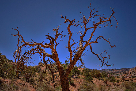 Capitol Reef National Park, UT.  Around Panorama Point, Sunset Point, and the Goosenecks.