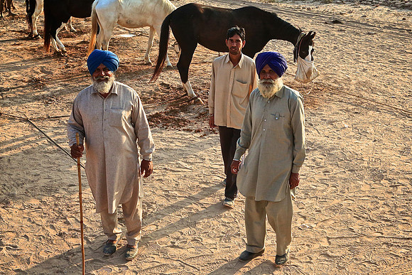 Nagaur Camel and Livestock Fair, Nagaur, Rajasthan