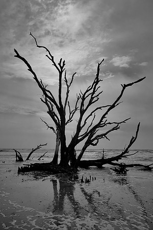 Botany Bay, Edisto Island, SC
