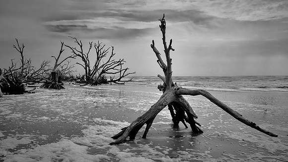 Botany Bay, Edisto Island, SC