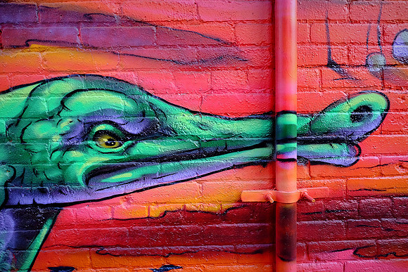 Toronto Street Art