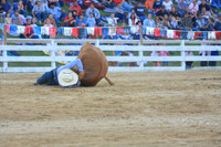 2008 July - Let's Rodeo!, Galena, IL