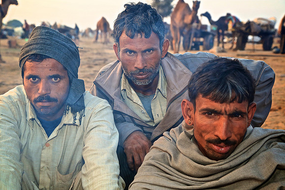 Nagaur Camel and Livestock Fair, Nagaur, Rajasthan