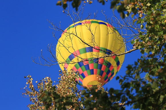 Carolina Balloon Fest, Statesville, NC