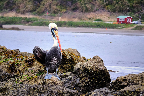 Achao, Chiloe Island, Chile