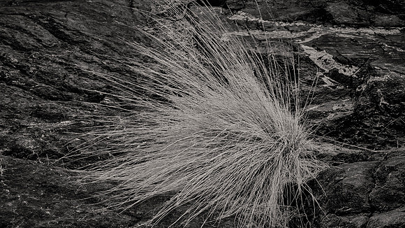 Titus Canyon, Death Valley NP, CA