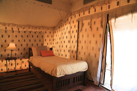Nagaur digs