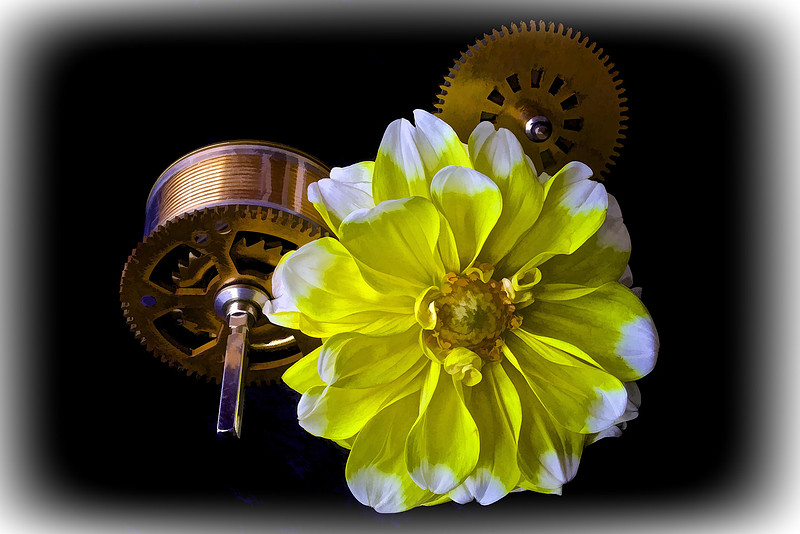 Flowers & Clocks