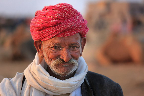 Nagaur Camel and Livestock Fair, Nagaur, Rajasthan, India