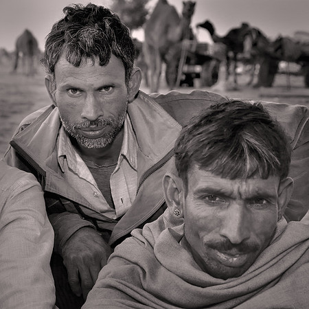 Nagaur Camel Fair, Rajasthan, India