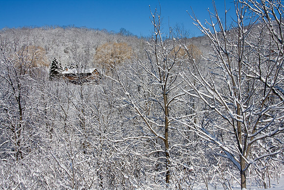 Galena Snow