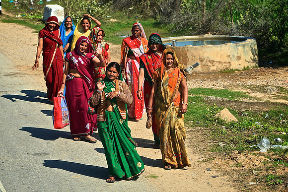 On the road to Ranthambhore Tiger Reserve