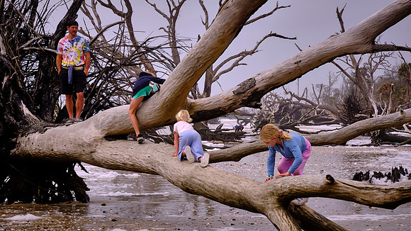 Botany Bay, Edisto Island, SC