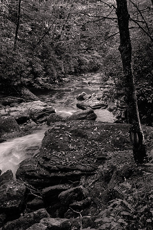 Straight Fork - Raven Fork, GSMNP