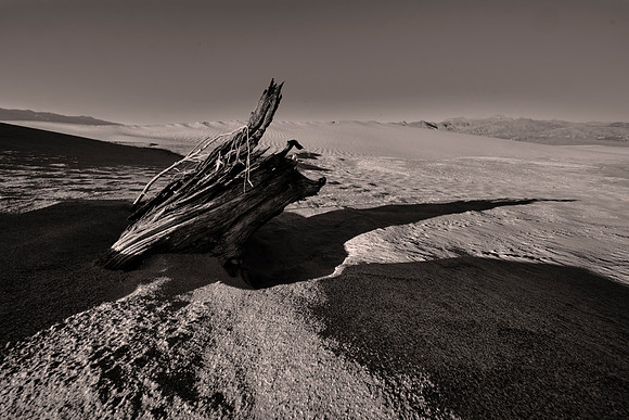 Short Dunes, (Mesquite Flat), Death Valley NP, CA