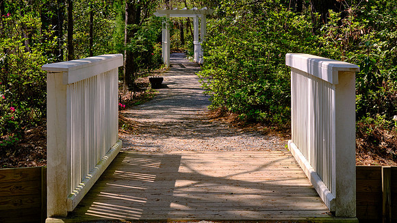 Cypress Gardens, Moncks Corner, SC