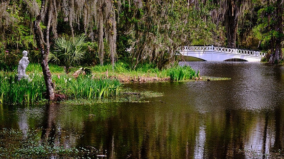 Magnolia Plantation, Charleston, SC