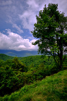 2024 May - Blue Ridge Parkway, NC