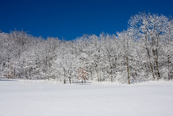 Galena Snow