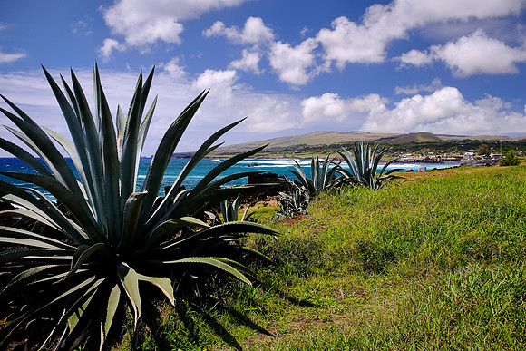 Easter Island, Chile
