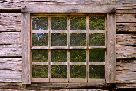 Ogle grew corn on his land, but he also had an apple orchard with several different varieties.