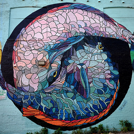 Toronto Street Art