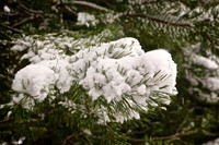 2013 Dec - Winter Snow & Ice, OH