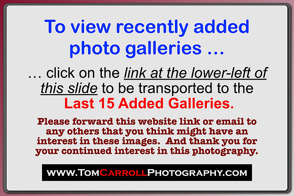 CLICK ON LINK AT LEFT