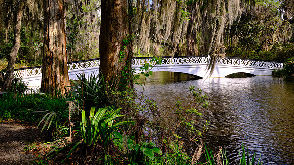 Magnolia Plantation, Charleston, SC