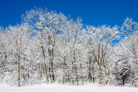 Galena Snow