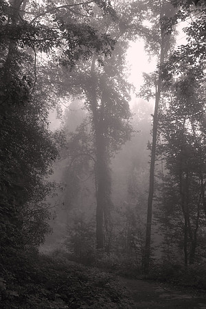 2012 August: Highlands, North Carolina