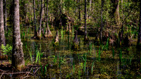 2022 Mar - Charleston, SC